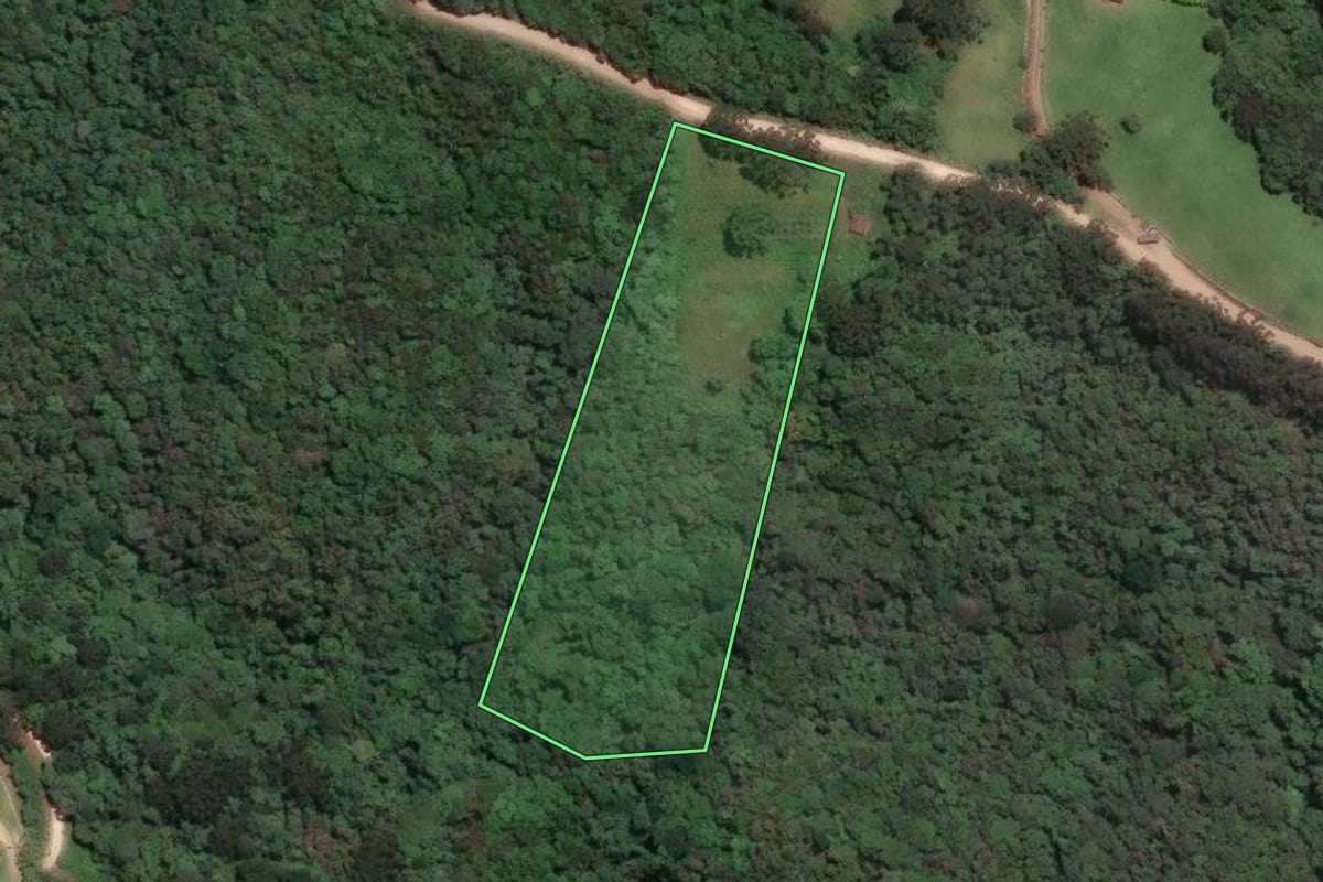 Imagem de satélite do imóvel rural em Campo Largo (PR), com o contorno declarado no CAR desenhado por cima.