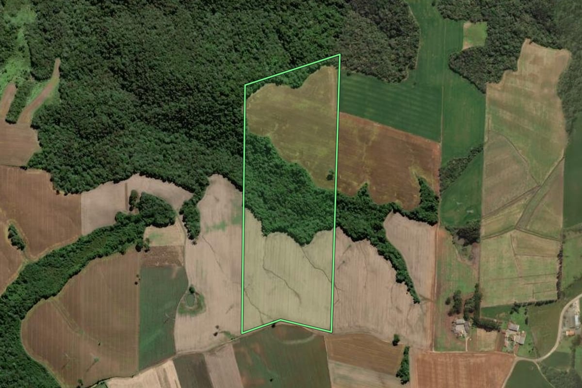 Imagem de satélite do imóvel rural em Campo Largo (PR), com o contorno declarado no CAR desenhado por cima.
