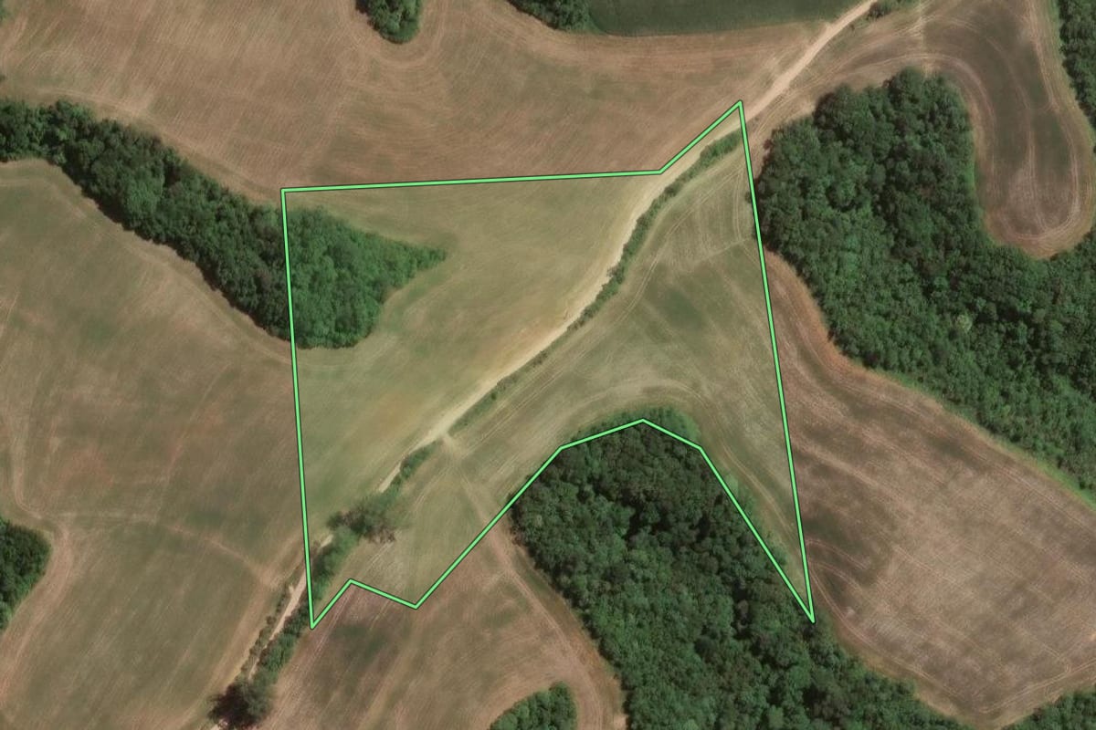 Imagem de satélite do imóvel rural em Campo Largo (PR), com o contorno declarado no CAR desenhado por cima.