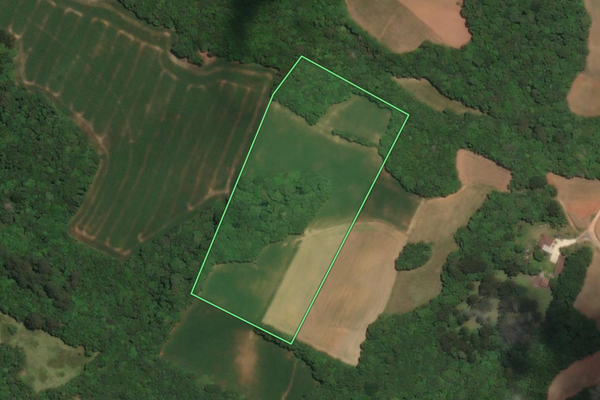 Imagem de satélite do imóvel rural em Campo Largo (PR), com o contorno declarado no CAR desenhado por cima.