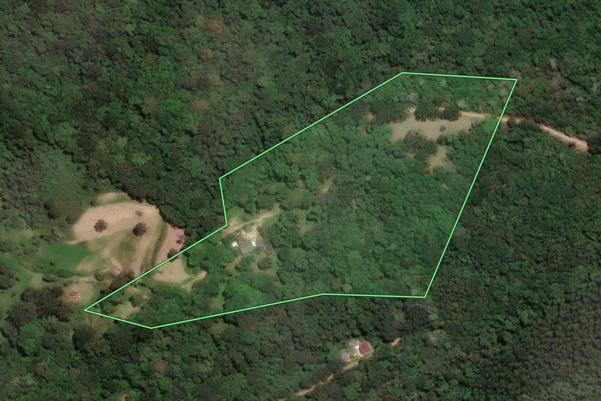 Imagem de satélite do imóvel rural em Campo Largo (PR), com o contorno declarado no CAR desenhado por cima.