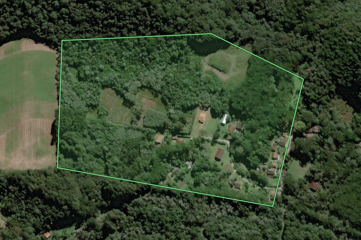 Imagem de satélite do imóvel rural em Campo Largo (PR), com o contorno declarado no CAR desenhado por cima.