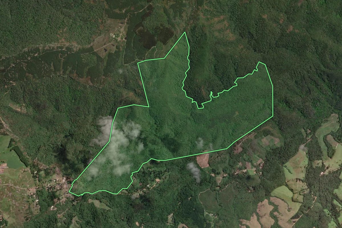 Imagem de satélite do imóvel rural em Campo Largo (PR), com o contorno declarado no CAR desenhado por cima.