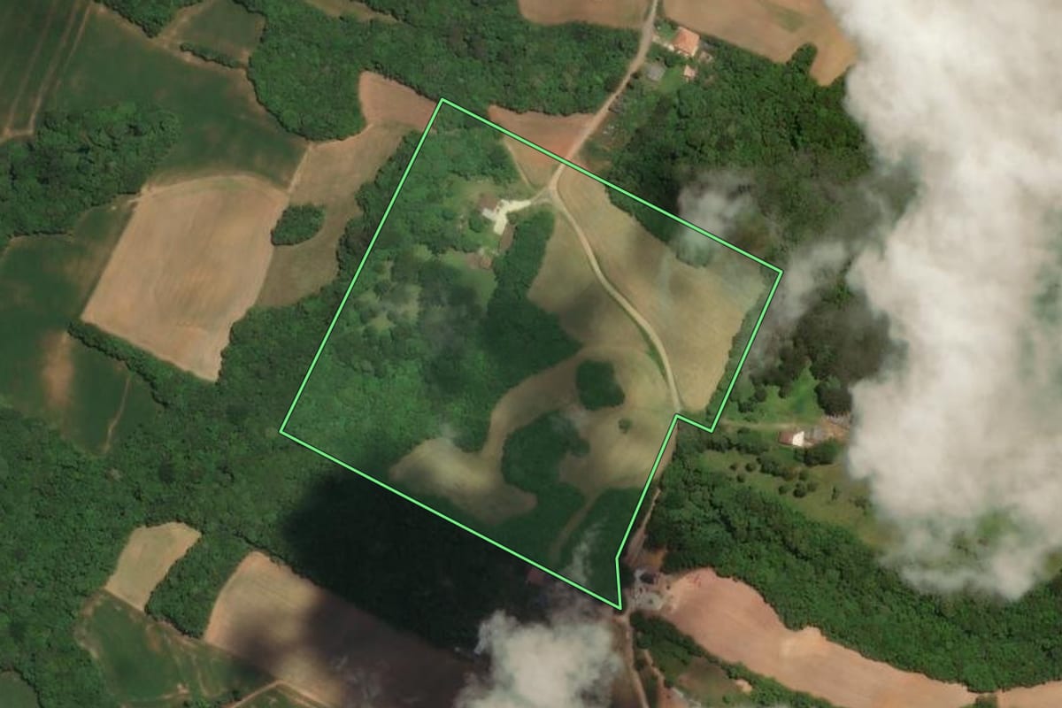 Imagem de satélite do imóvel rural em Campo Largo (PR), com o contorno declarado no CAR desenhado por cima.