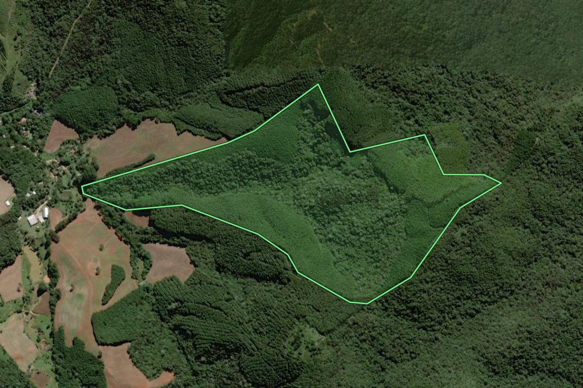 Imagem de satélite do imóvel rural em Campo Largo (PR), com o contorno declarado no CAR desenhado por cima.