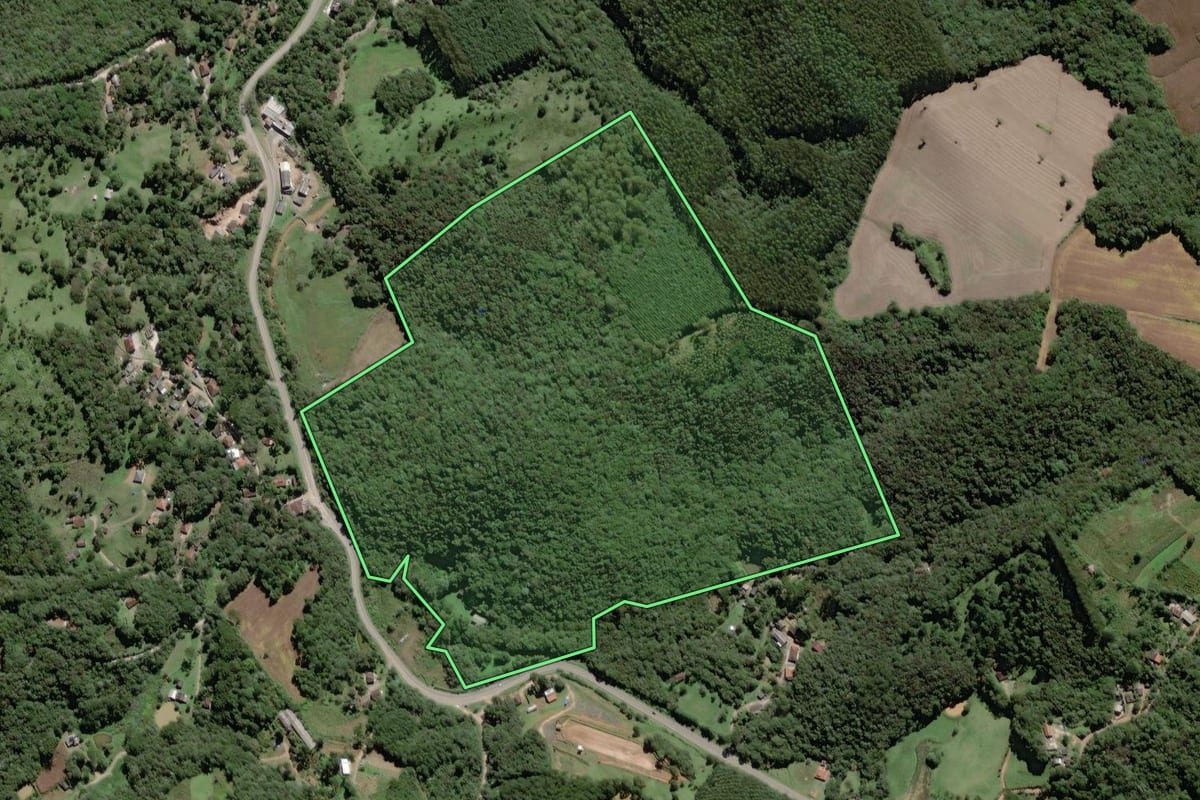 Imagem de satélite do imóvel rural em Campo Largo (PR), com o contorno declarado no CAR desenhado por cima.