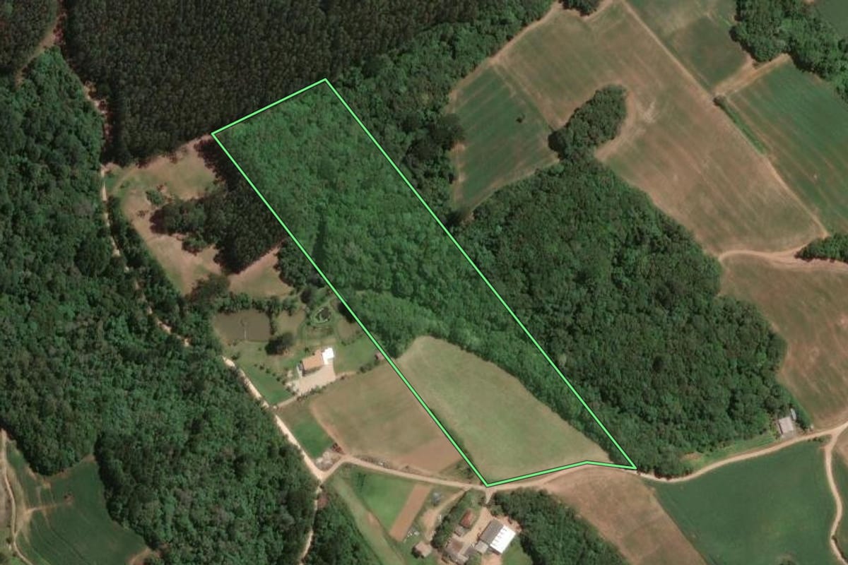 Imagem de satélite do imóvel rural em Campo Largo (PR), com o contorno declarado no CAR desenhado por cima.