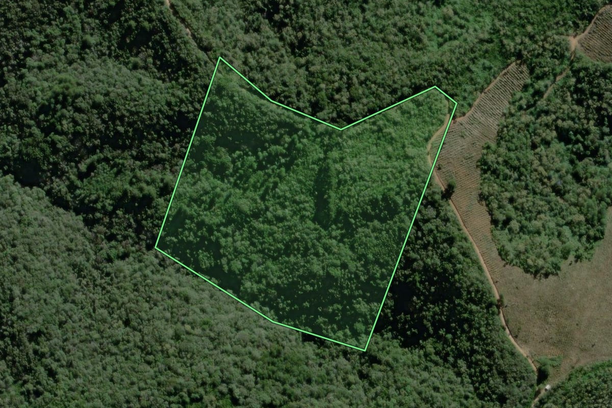 Imagem de satélite do imóvel rural em Campo Largo (PR), com o contorno declarado no CAR desenhado por cima.