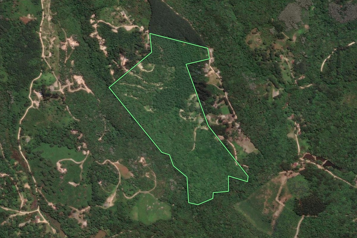 Imagem de satélite do imóvel rural em Campo Largo (PR), com o contorno declarado no CAR desenhado por cima.