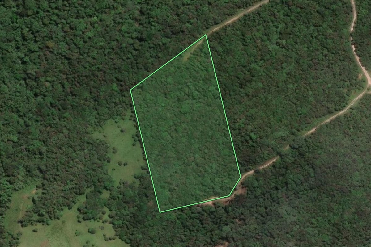 Imagem de satélite do imóvel rural em Campo Largo (PR), com o contorno declarado no CAR desenhado por cima.
