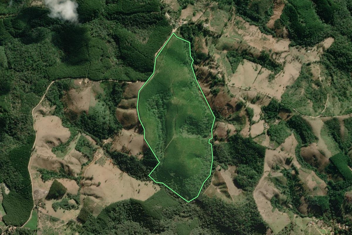 Imagem de satélite do imóvel rural em Campo Largo (PR), com o contorno declarado no CAR desenhado por cima.