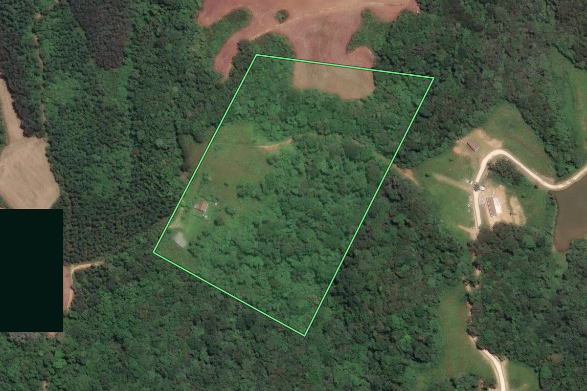Imagem de satélite do imóvel rural em Campo Largo (PR), com o contorno declarado no CAR desenhado por cima.