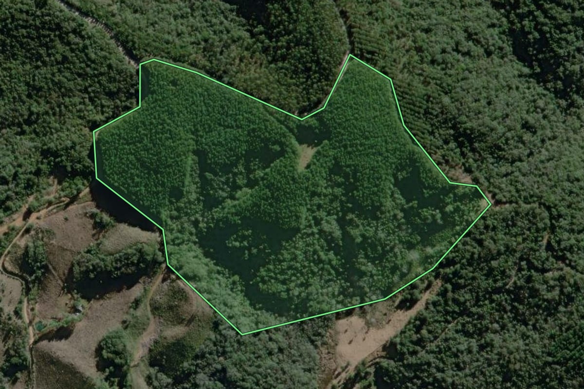Imagem de satélite do imóvel rural em Campo Largo (PR), com o contorno declarado no CAR desenhado por cima.