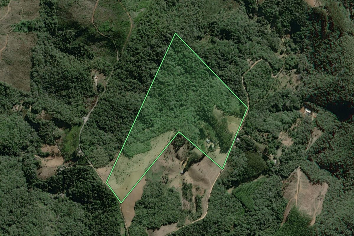 Imagem de satélite do imóvel rural em Campo Largo (PR), com o contorno declarado no CAR desenhado por cima.