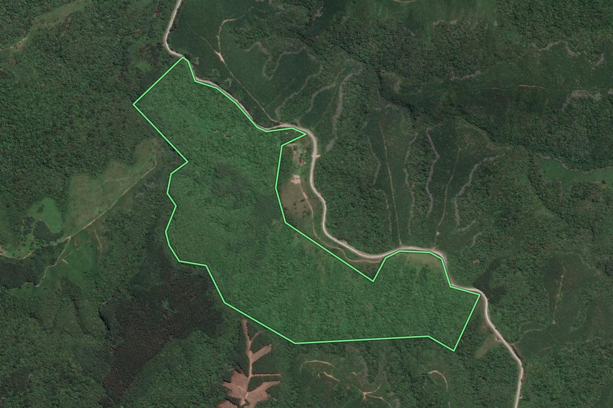 Imagem de satélite do imóvel rural em Campo Largo (PR), com o contorno declarado no CAR desenhado por cima.