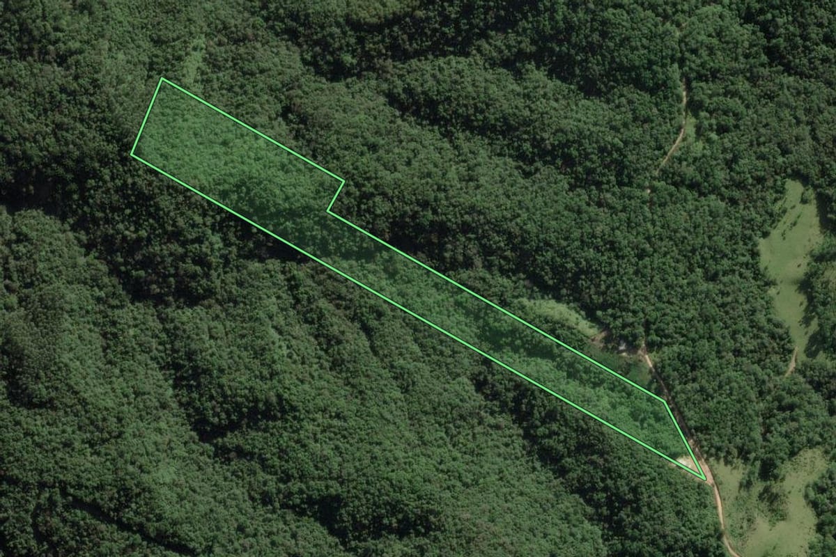 Imagem de satélite do imóvel rural em Campo Largo (PR), com o contorno declarado no CAR desenhado por cima.