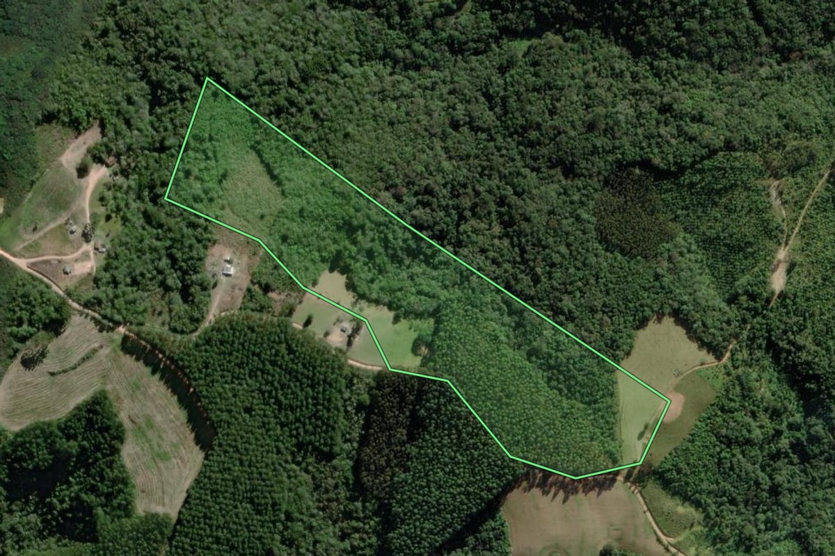 Imagem de satélite do imóvel rural em Campo Largo (PR), com o contorno declarado no CAR desenhado por cima.