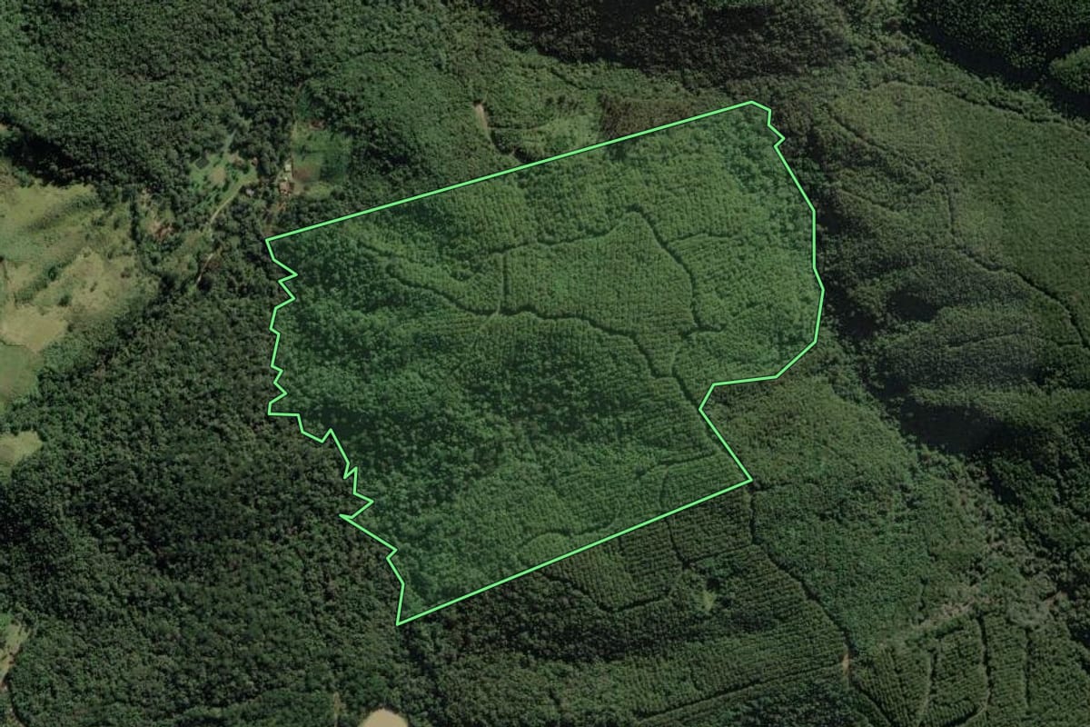 Imagem de satélite do imóvel rural em Campo Largo (PR), com o contorno declarado no CAR desenhado por cima.