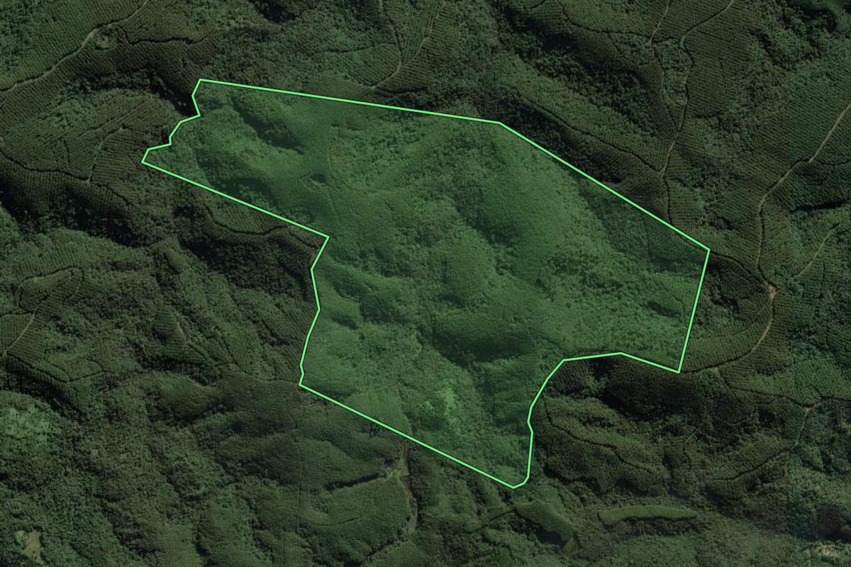 Imagem de satélite do imóvel rural em Campo Largo (PR), com o contorno declarado no CAR desenhado por cima.