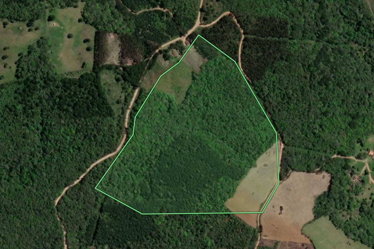 Imagem de satélite do imóvel rural em Campo Largo (PR), com o contorno declarado no CAR desenhado por cima.