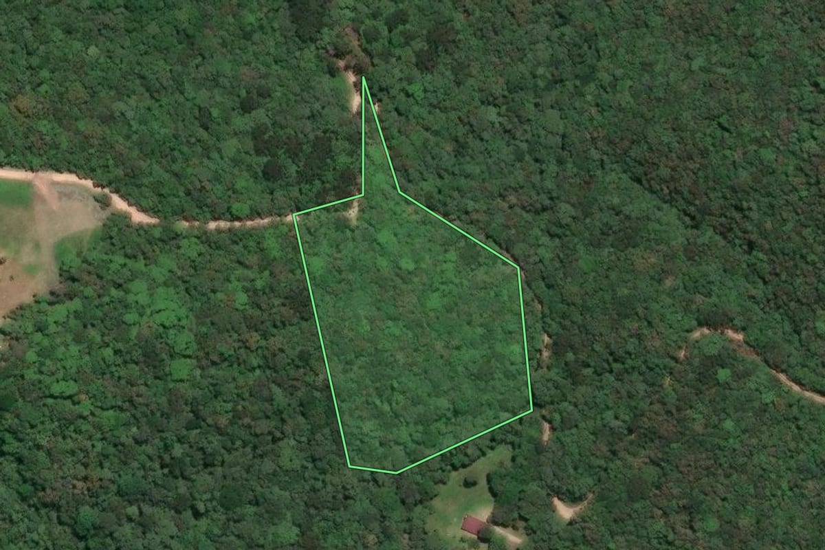 Imagem de satélite do imóvel rural em Campo Largo (PR), com o contorno declarado no CAR desenhado por cima.