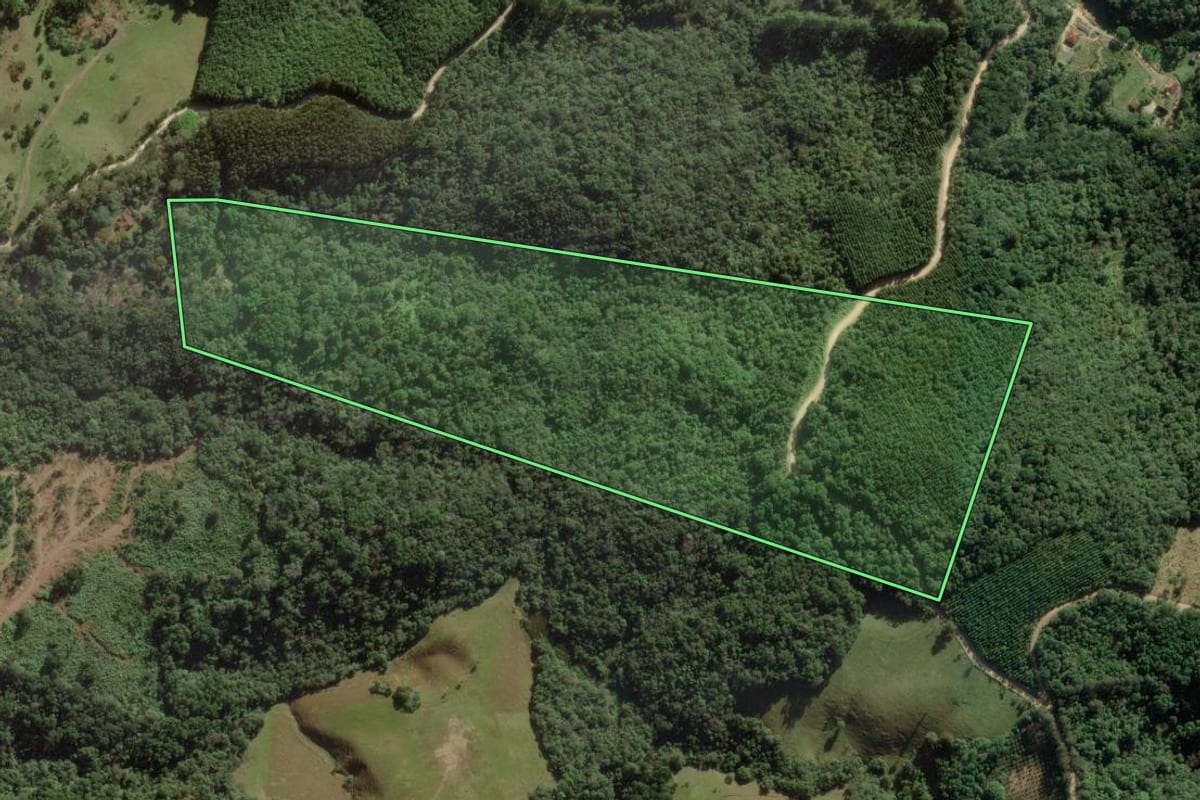 Imagem de satélite do imóvel rural em Campo Largo (PR), com o contorno declarado no CAR desenhado por cima.