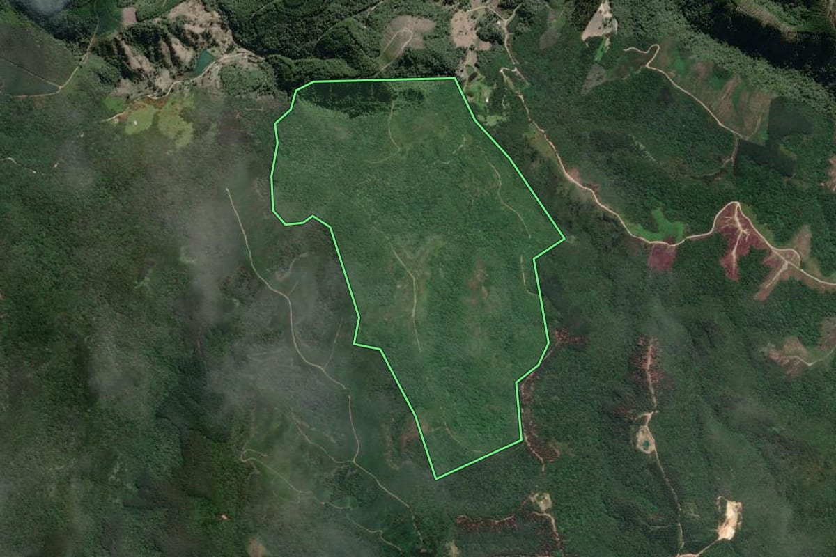 Imagem de satélite do imóvel rural em Campo Largo (PR), com o contorno declarado no CAR desenhado por cima.