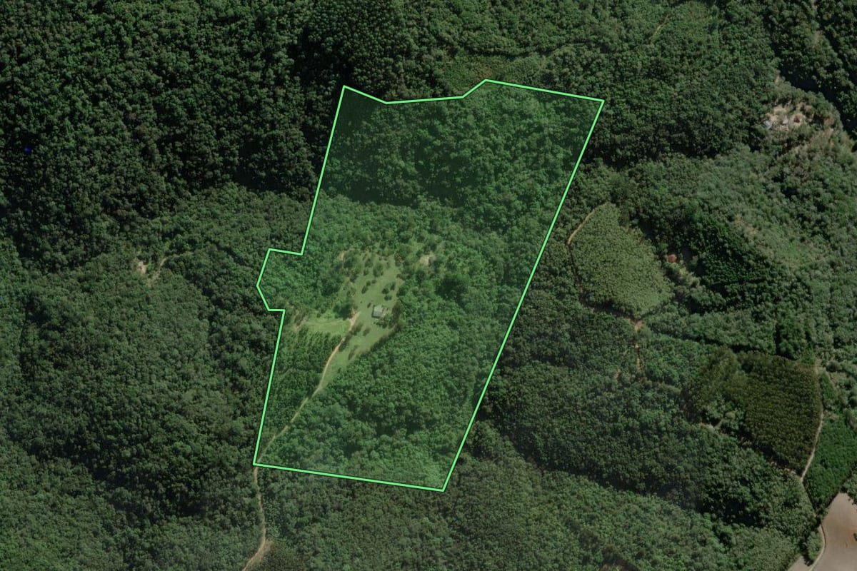 Imagem de satélite do imóvel rural em Campo Largo (PR), com o contorno declarado no CAR desenhado por cima.