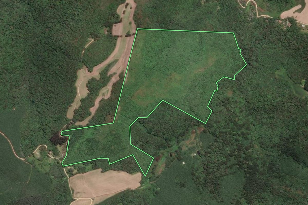 Imagem de satélite do imóvel rural em Campo Largo (PR), com o contorno declarado no CAR desenhado por cima.