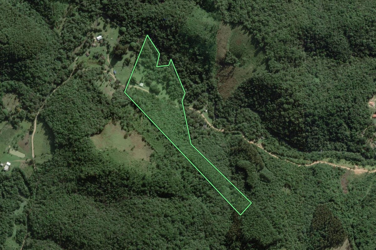 Imagem de satélite do imóvel rural em Campo Largo (PR), com o contorno declarado no CAR desenhado por cima.