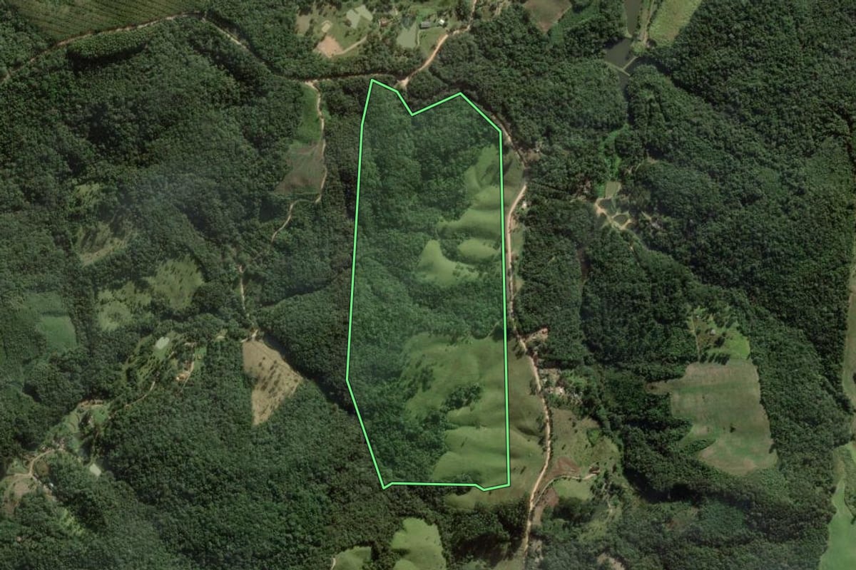 Imagem de satélite do imóvel rural em Campo Largo (PR), com o contorno declarado no CAR desenhado por cima.