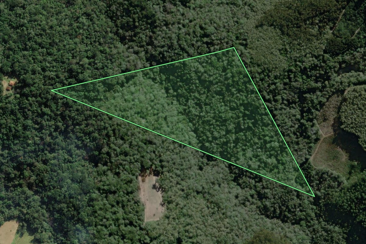 Imagem de satélite do imóvel rural em Campo Largo (PR), com o contorno declarado no CAR desenhado por cima.