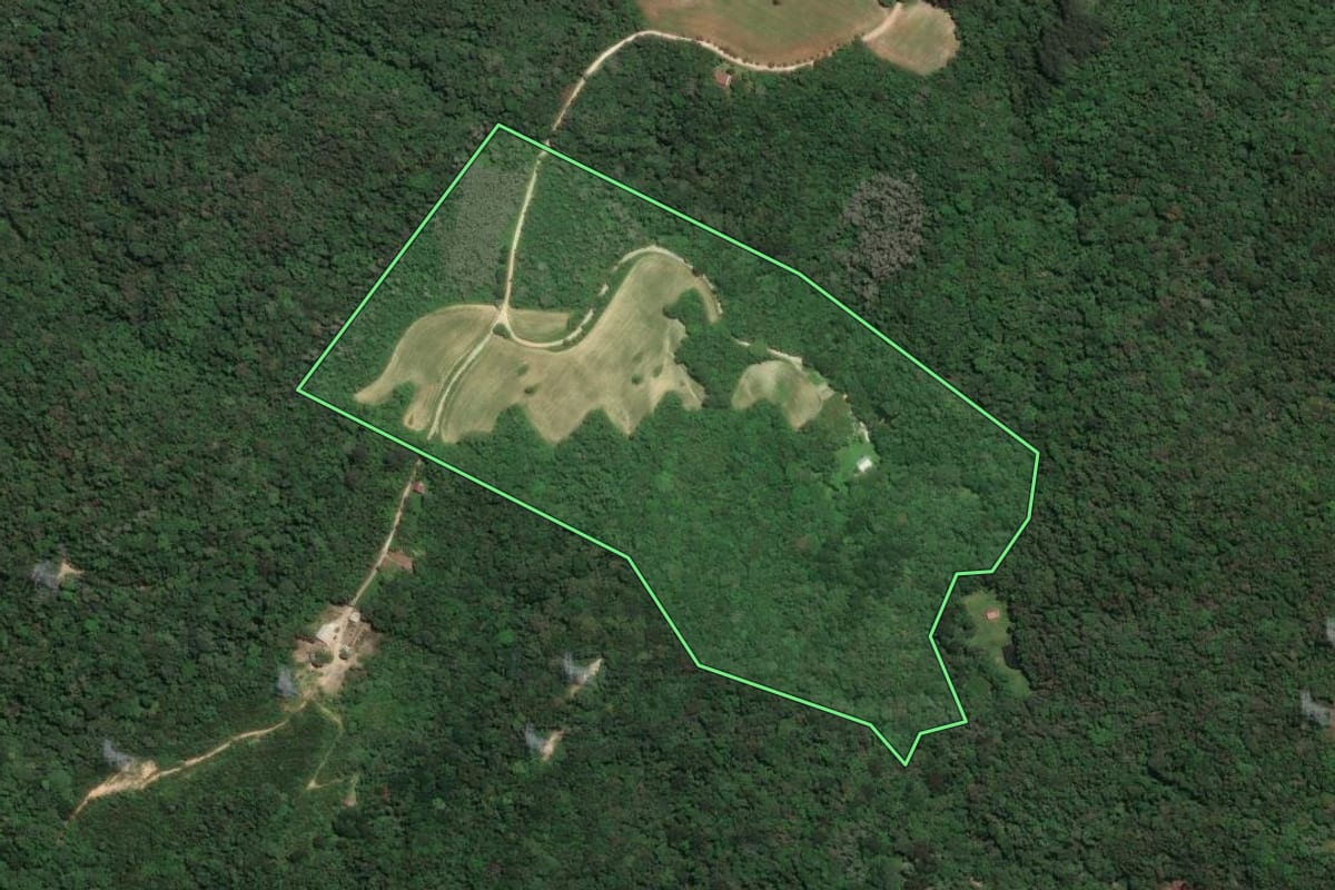 Imagem de satélite do imóvel rural em Campo Largo (PR), com o contorno declarado no CAR desenhado por cima.