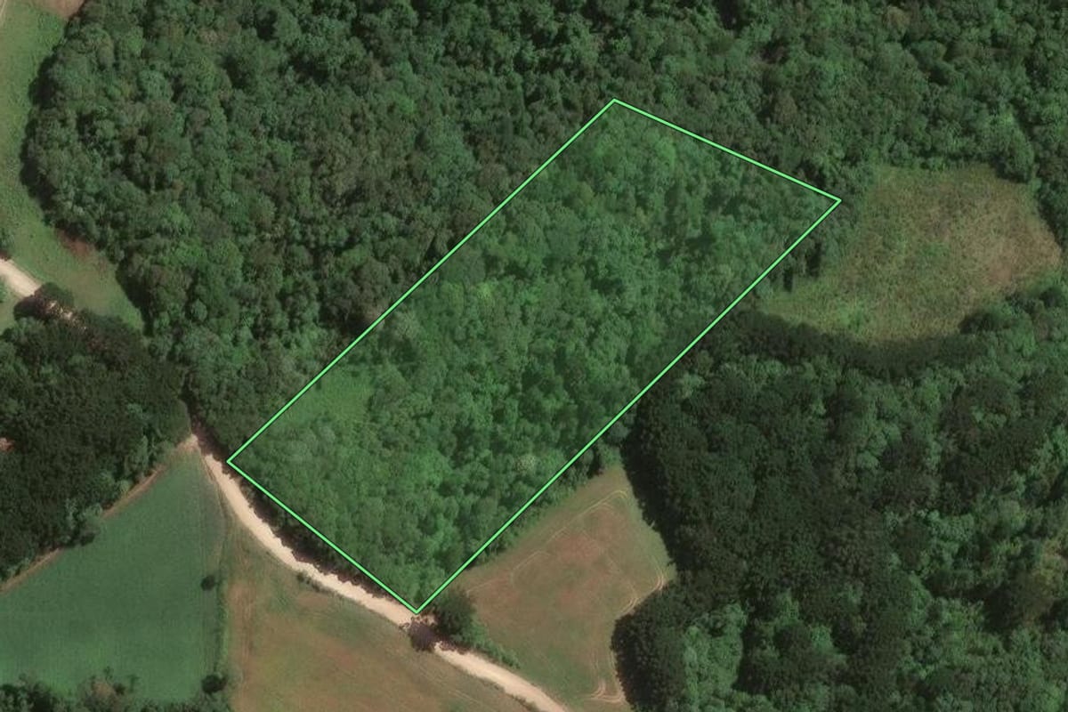 Imagem de satélite do imóvel rural em Campo Largo (PR), com o contorno declarado no CAR desenhado por cima.