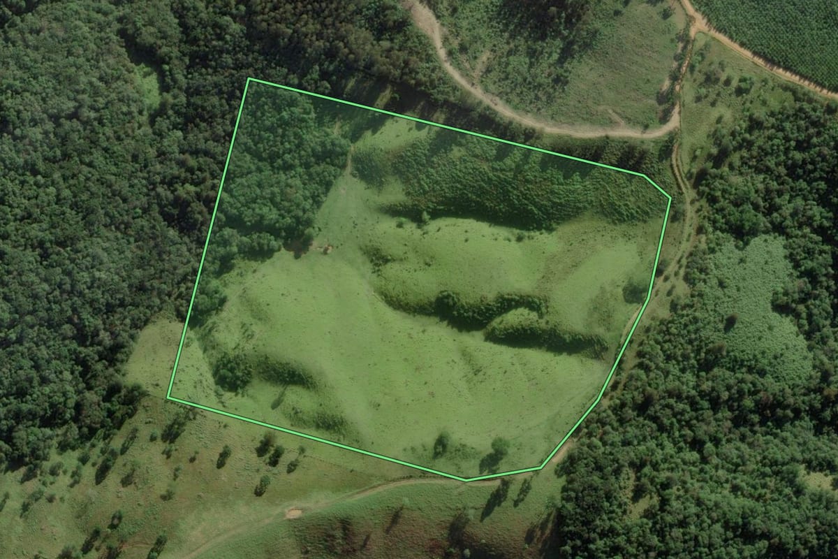 Imagem de satélite do imóvel rural em Campo Largo (PR), com o contorno declarado no CAR desenhado por cima.