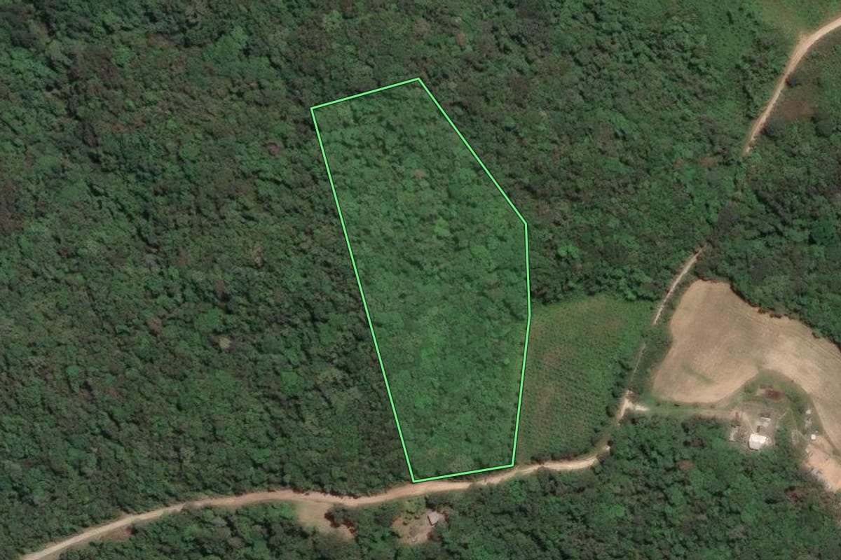 Imagem de satélite do imóvel rural em Campo Largo (PR), com o contorno declarado no CAR desenhado por cima.