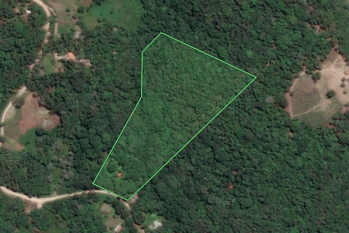 Imagem de satélite do imóvel rural em Campo Largo (PR), com o contorno declarado no CAR desenhado por cima.