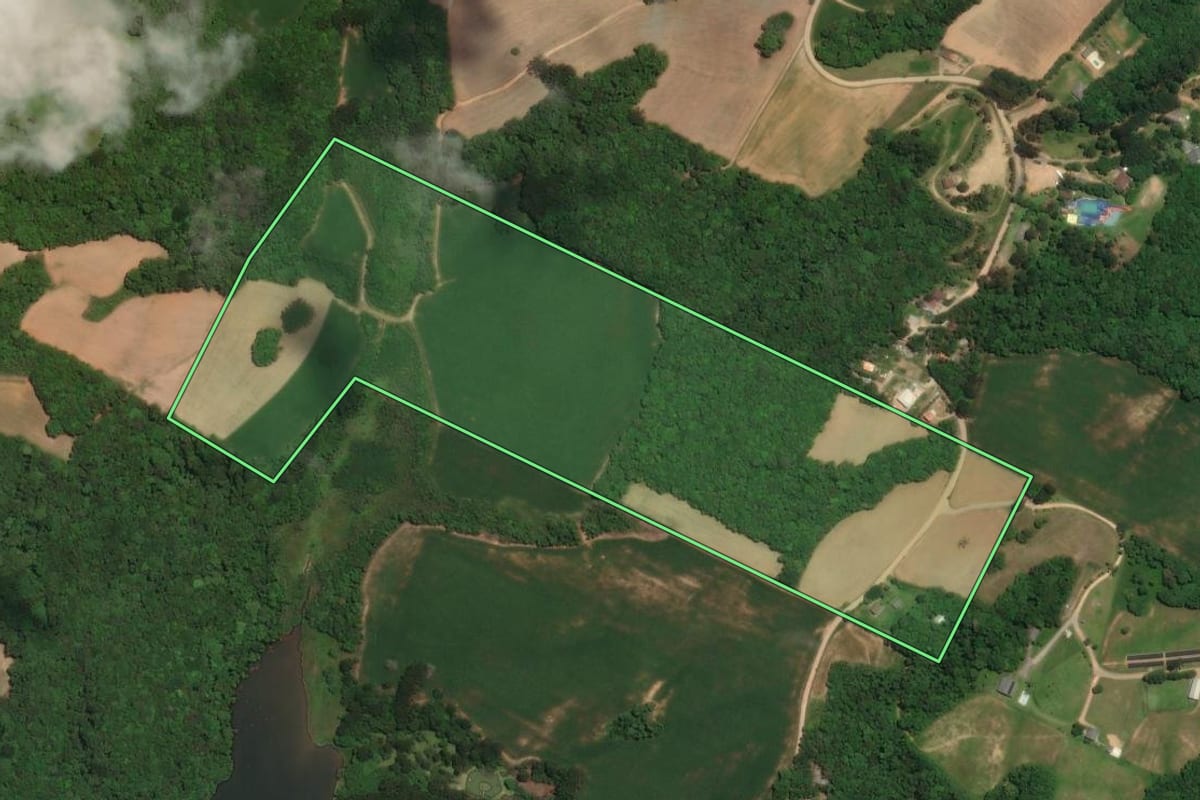 Imagem de satélite do imóvel rural em Campo Largo (PR), com o contorno declarado no CAR desenhado por cima.