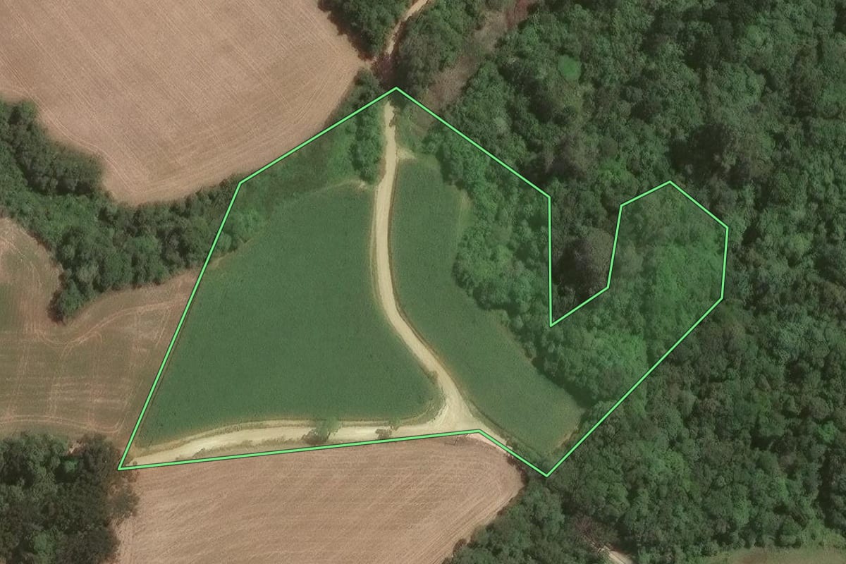Imagem de satélite do imóvel rural em Campo Largo (PR), com o contorno declarado no CAR desenhado por cima.