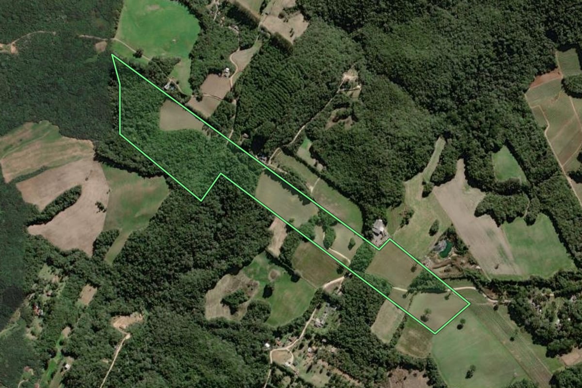 Imagem de satélite do imóvel rural em Campo Largo (PR), com o contorno declarado no CAR desenhado por cima.