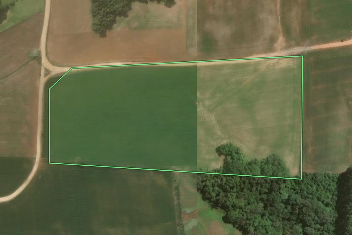Imagem de satélite do imóvel rural em Campo Largo (PR), com o contorno declarado no CAR desenhado por cima.