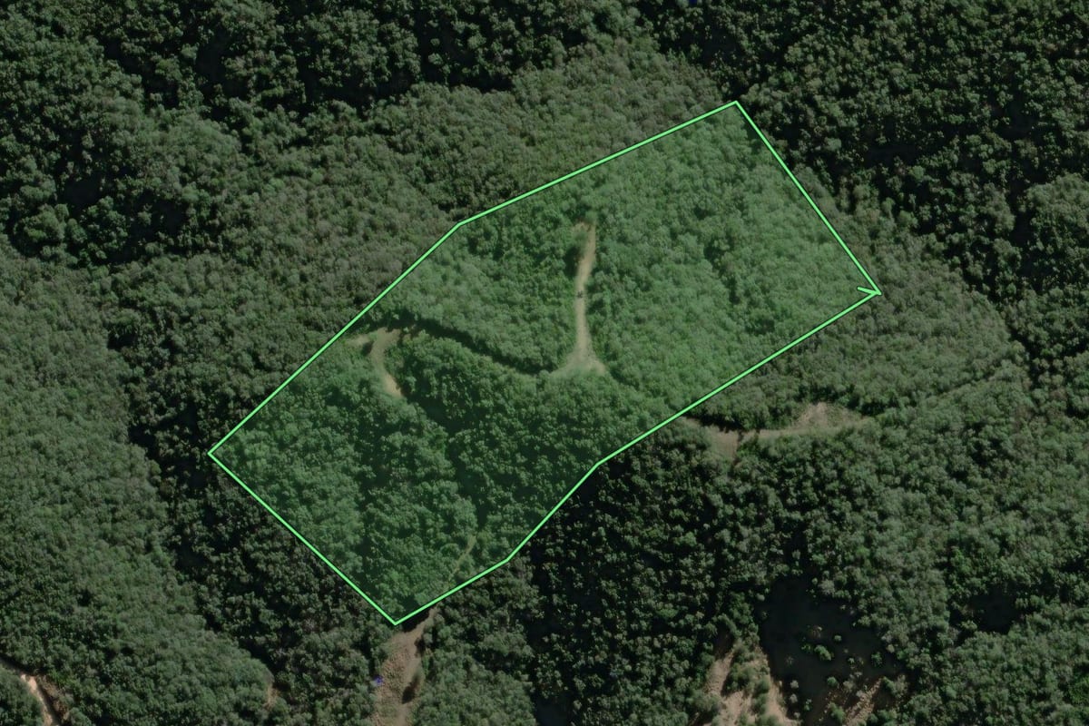 Imagem de satélite do imóvel rural em Campo Largo (PR), com o contorno declarado no CAR desenhado por cima.