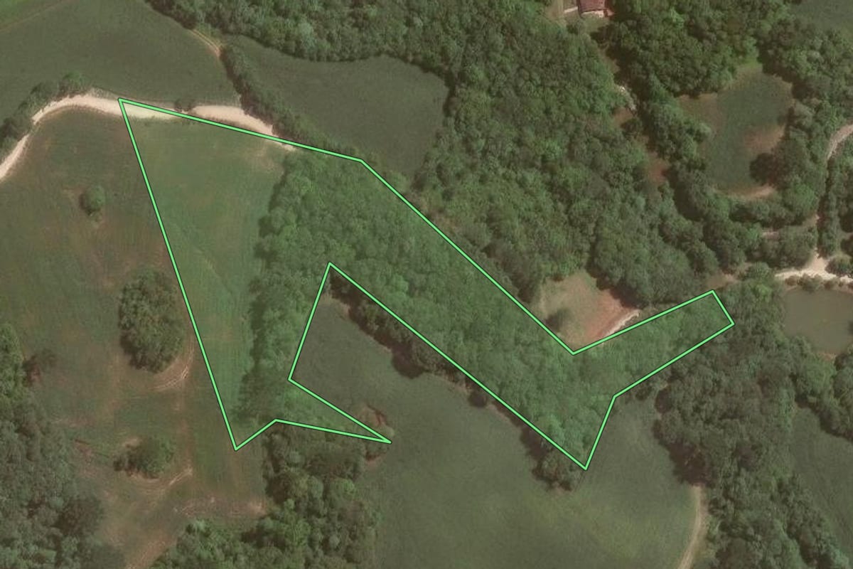 Imagem de satélite do imóvel rural em Campo Largo (PR), com o contorno declarado no CAR desenhado por cima.