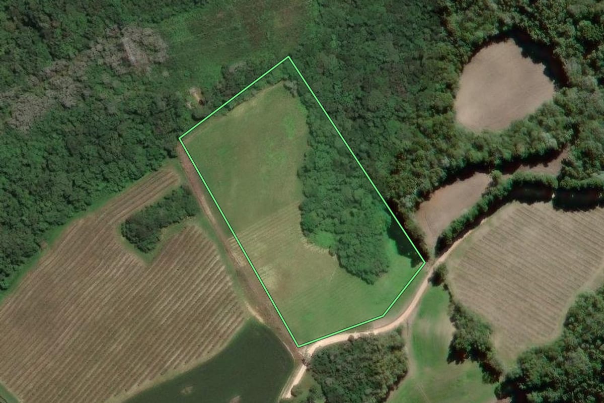 Imagem de satélite do imóvel rural em Campo Largo (PR), com o contorno declarado no CAR desenhado por cima.