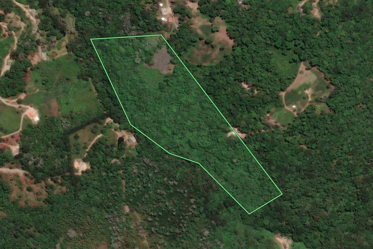 Imagem de satélite do imóvel rural em Campo Largo (PR), com o contorno declarado no CAR desenhado por cima.