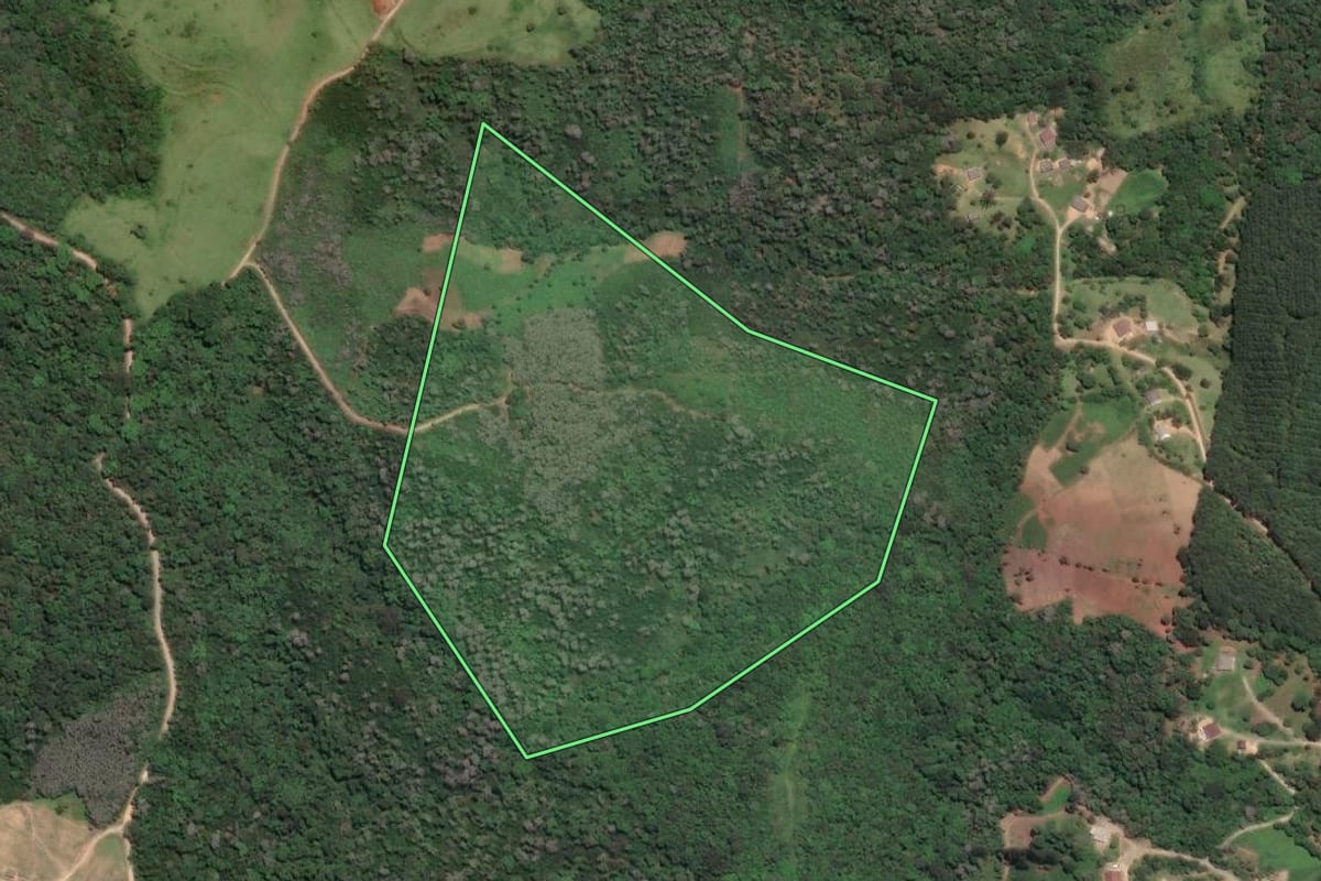 Imagem de satélite do imóvel rural em Campo Largo (PR), com o contorno declarado no CAR desenhado por cima.