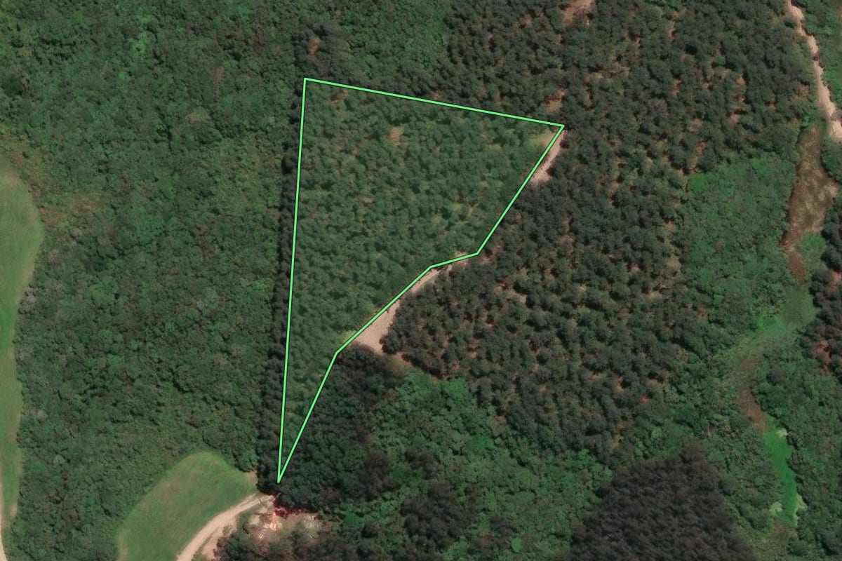 Imagem de satélite do imóvel rural em Campo Largo (PR), com o contorno declarado no CAR desenhado por cima.