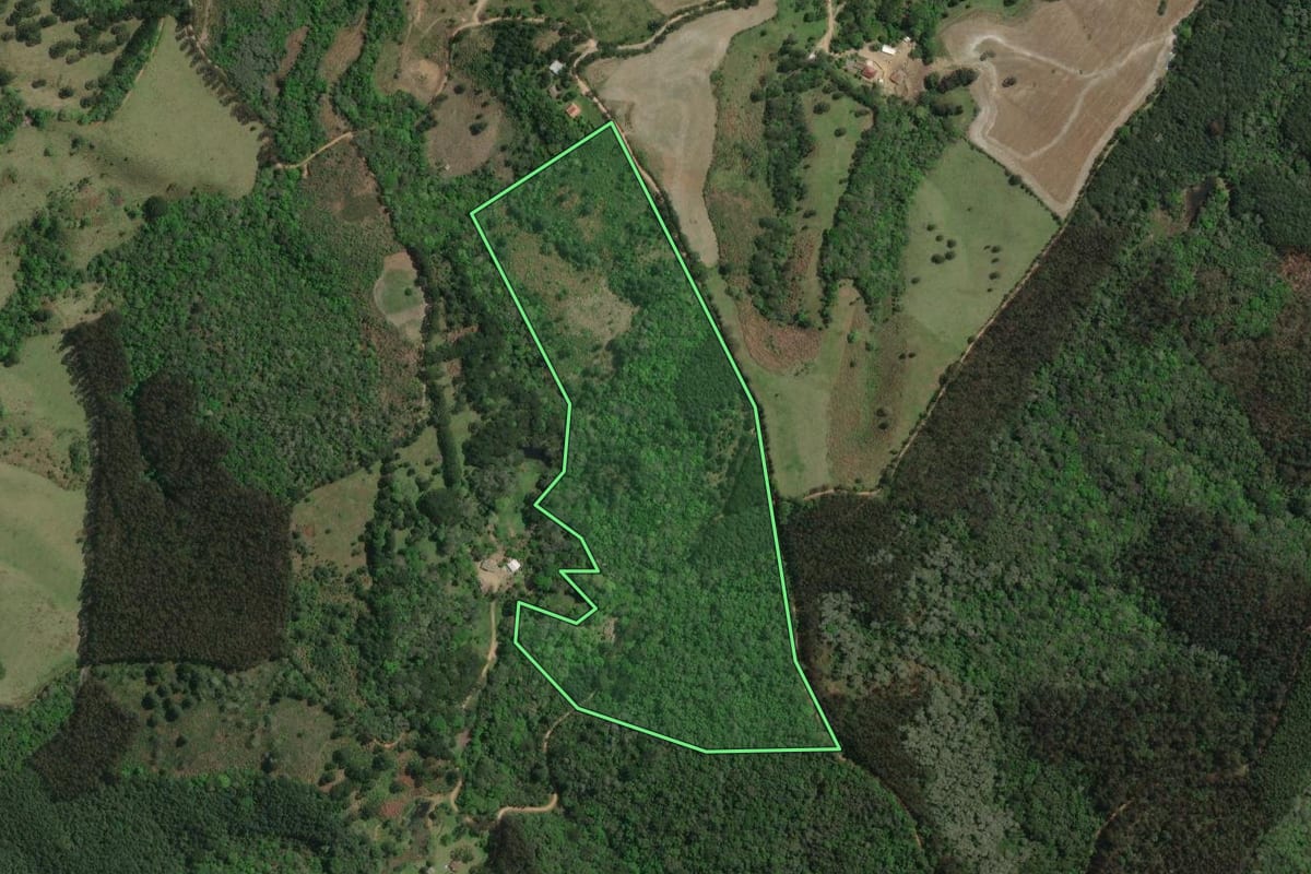 Imagem de satélite do imóvel rural em Campo Largo (PR), com o contorno declarado no CAR desenhado por cima.