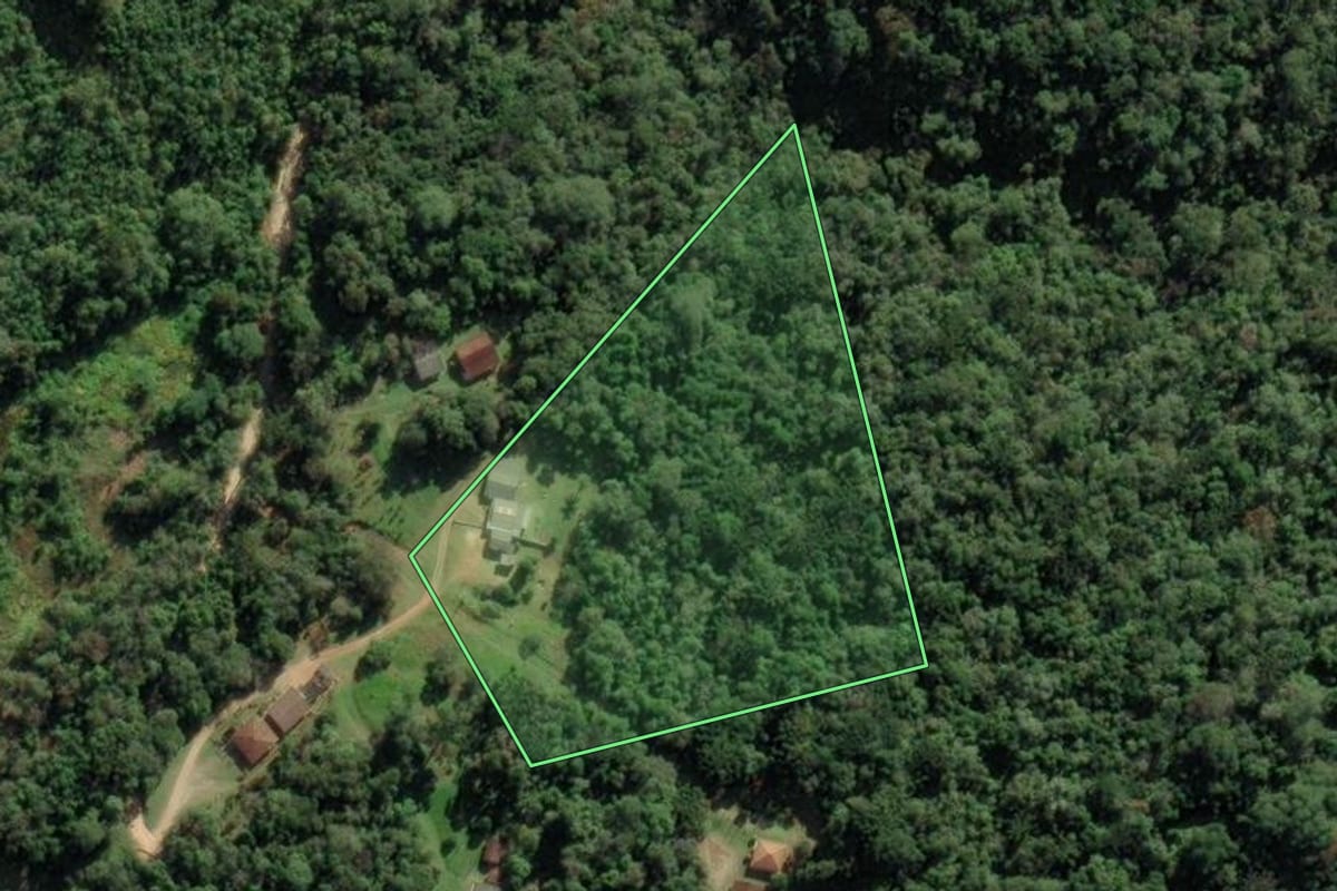 Imagem de satélite do imóvel rural em Campo Largo (PR), com o contorno declarado no CAR desenhado por cima.