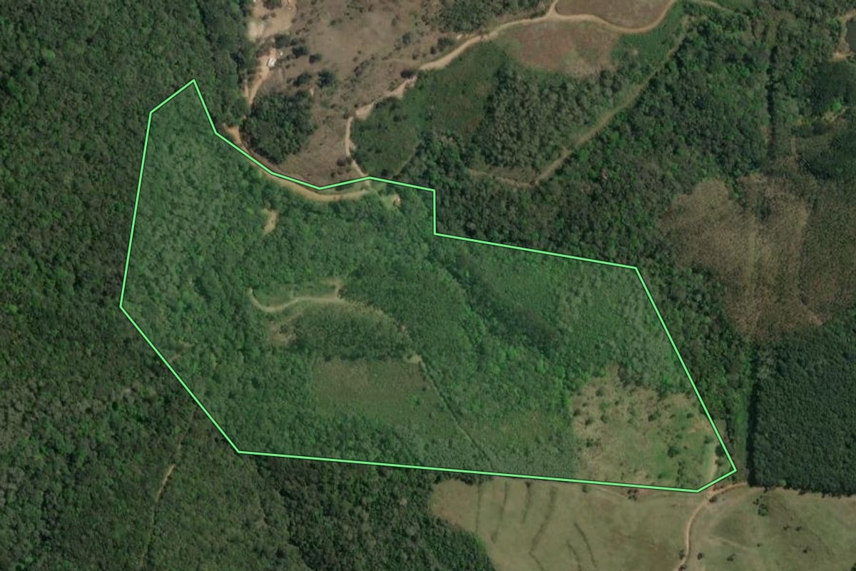 Imagem de satélite do imóvel rural em Campo Largo (PR), com o contorno declarado no CAR desenhado por cima.
